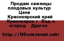 Продам саженцы плодовых культур › Цена ­ 130 - Красноярский край, Красноярск г. Сад и огород » Другое   